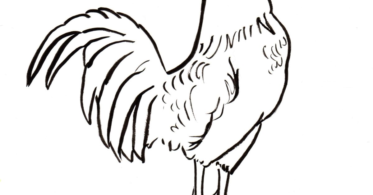 Rooster Coloring Page Art Starts For Kids