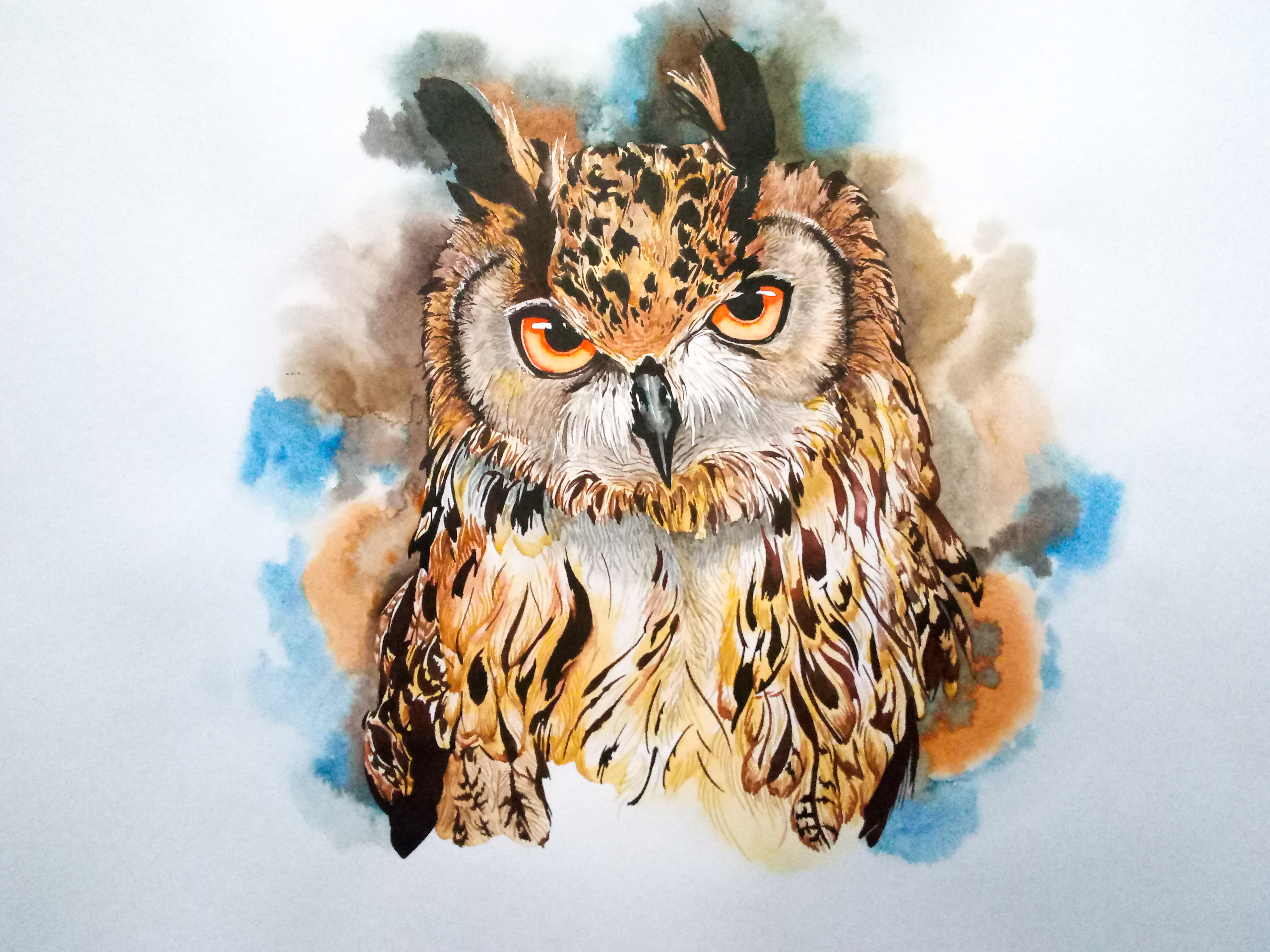 Eagle Owl Art Starts