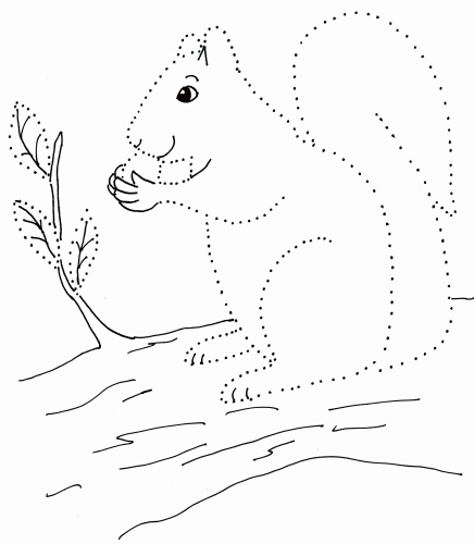 Dot Drawing – Squirrel | Art Starts