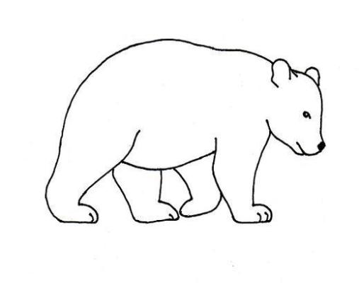 Bear Drawing – Step by Step | Art Starts