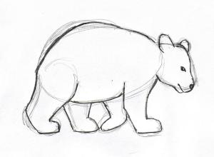 Bear Drawing – Step by Step - Art Starts