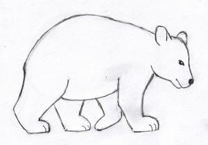 Bear Drawing – Step by Step - Art Starts