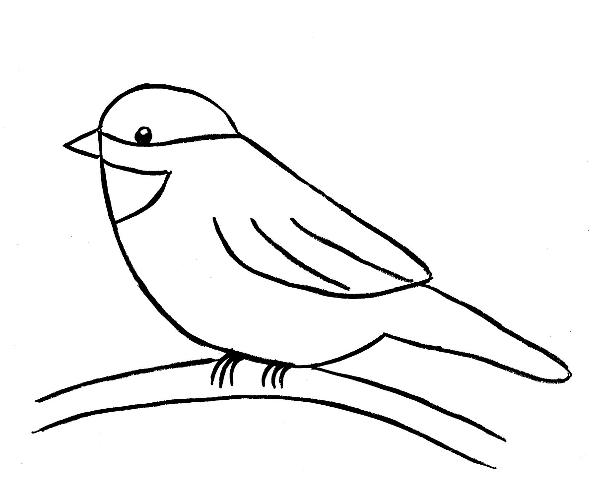 How To Draw A Bird Step By Step - Draw Central | Bird drawings, Easy animal  drawings, Step by step drawing