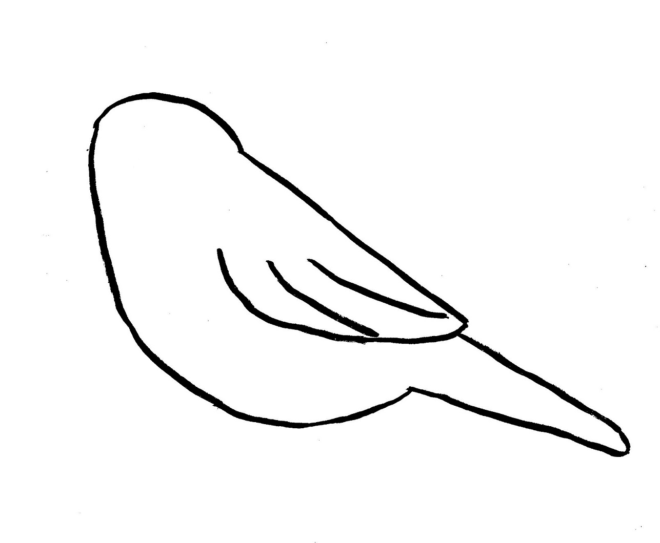 how to draw a easy bird step by step