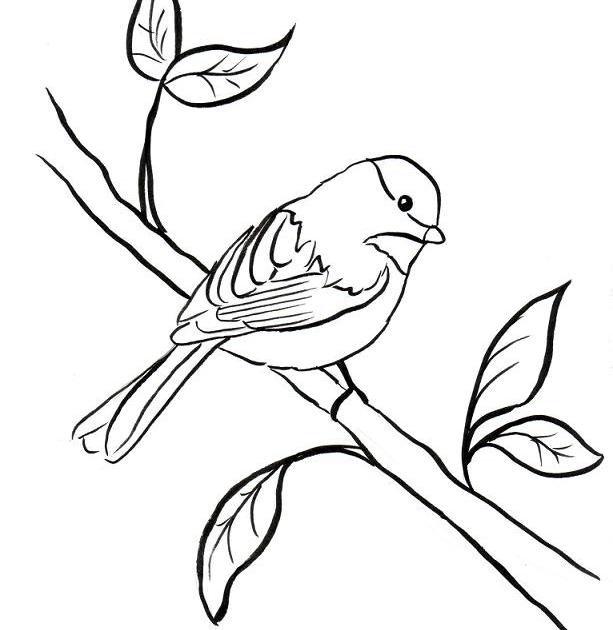 Chickadee Coloring Page - Art Starts