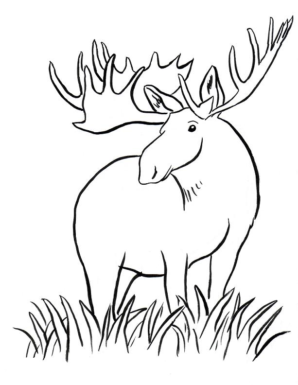 Moose Coloring Page Art Starts for Kids
