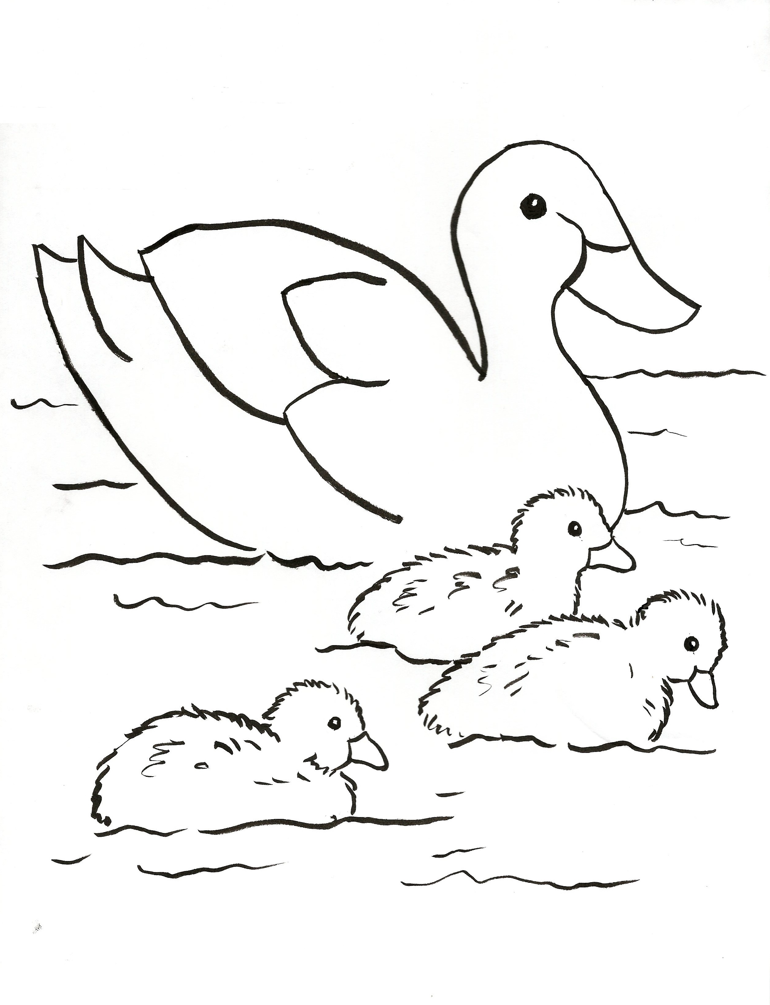 Duck Family Coloring Page Art Starts for Kids