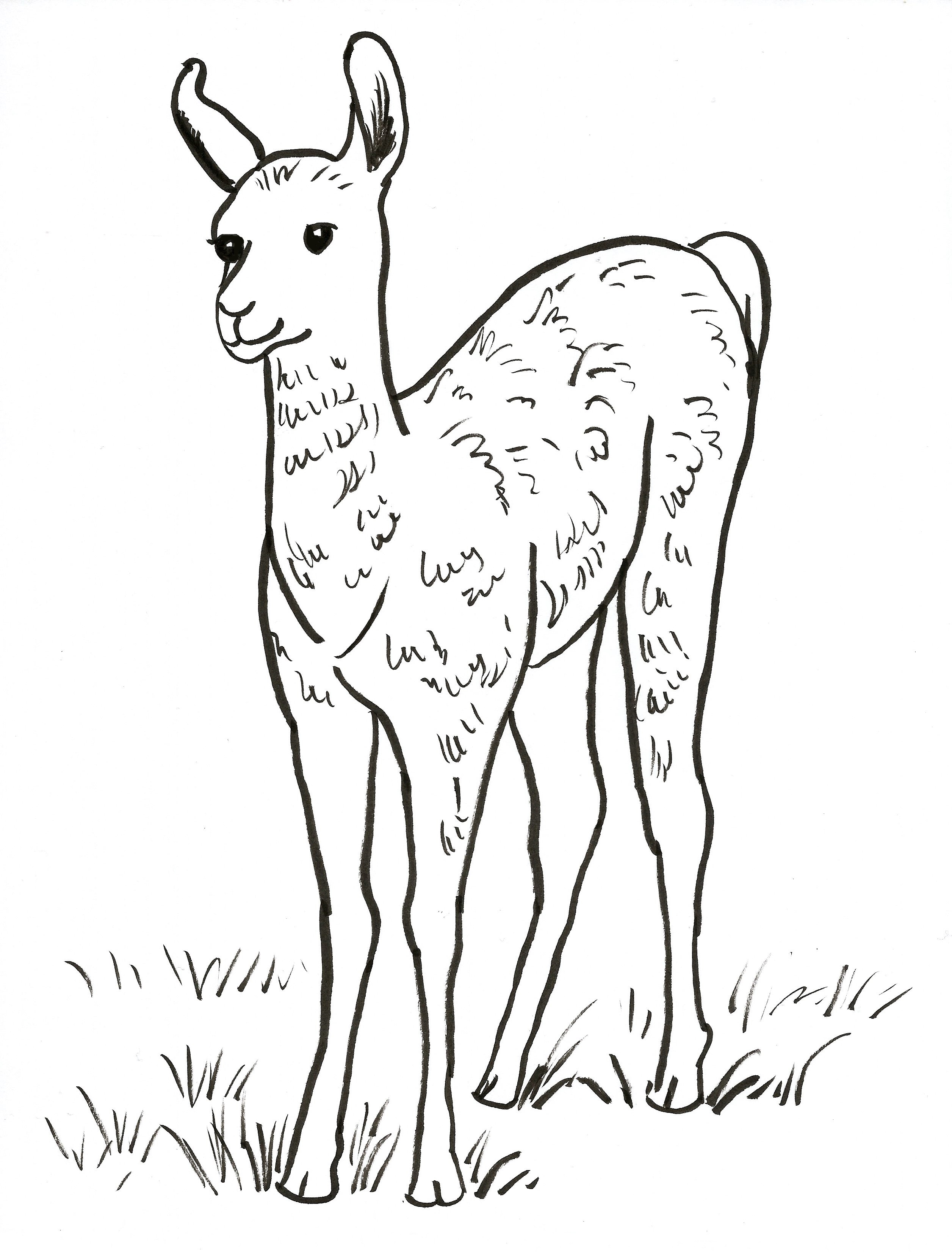 free-printable-llama-coloring-pages-printable-word-searches