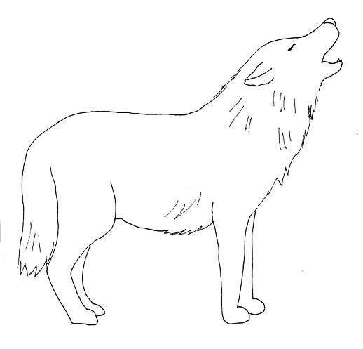 wolf drawing tutorial