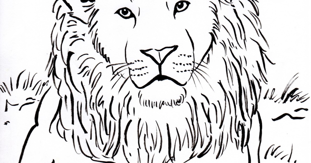 Download Lion Coloring Page - Art Starts