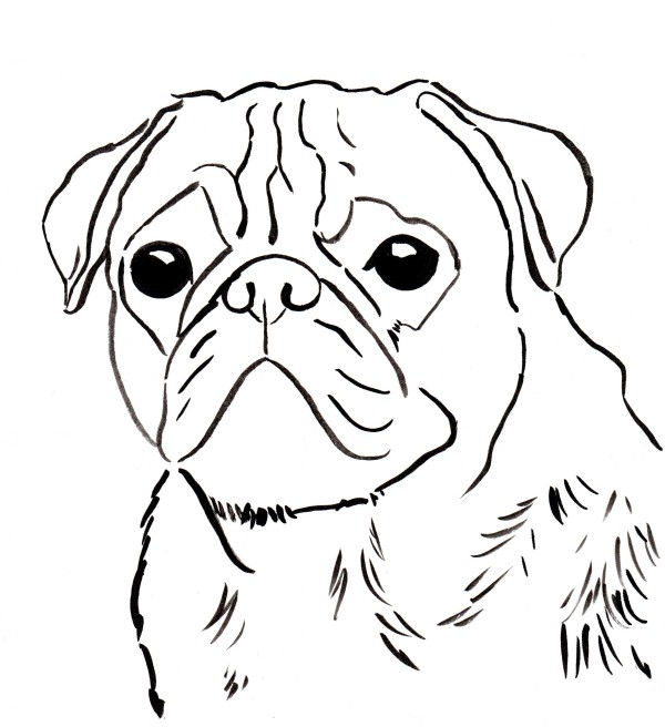 Pug Coloring Page | Art Starts