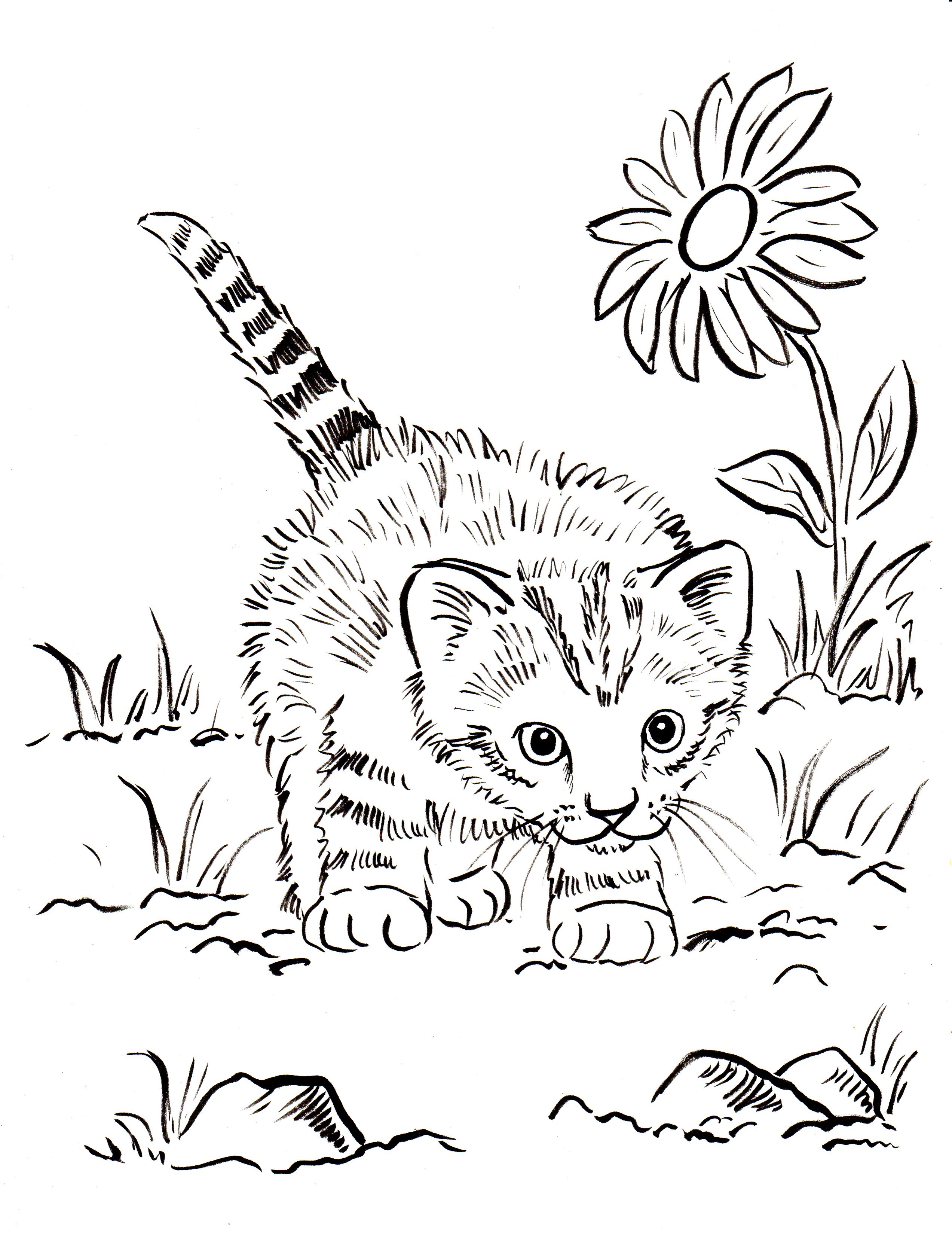 Simple Kitten Coloring Pages for Kids