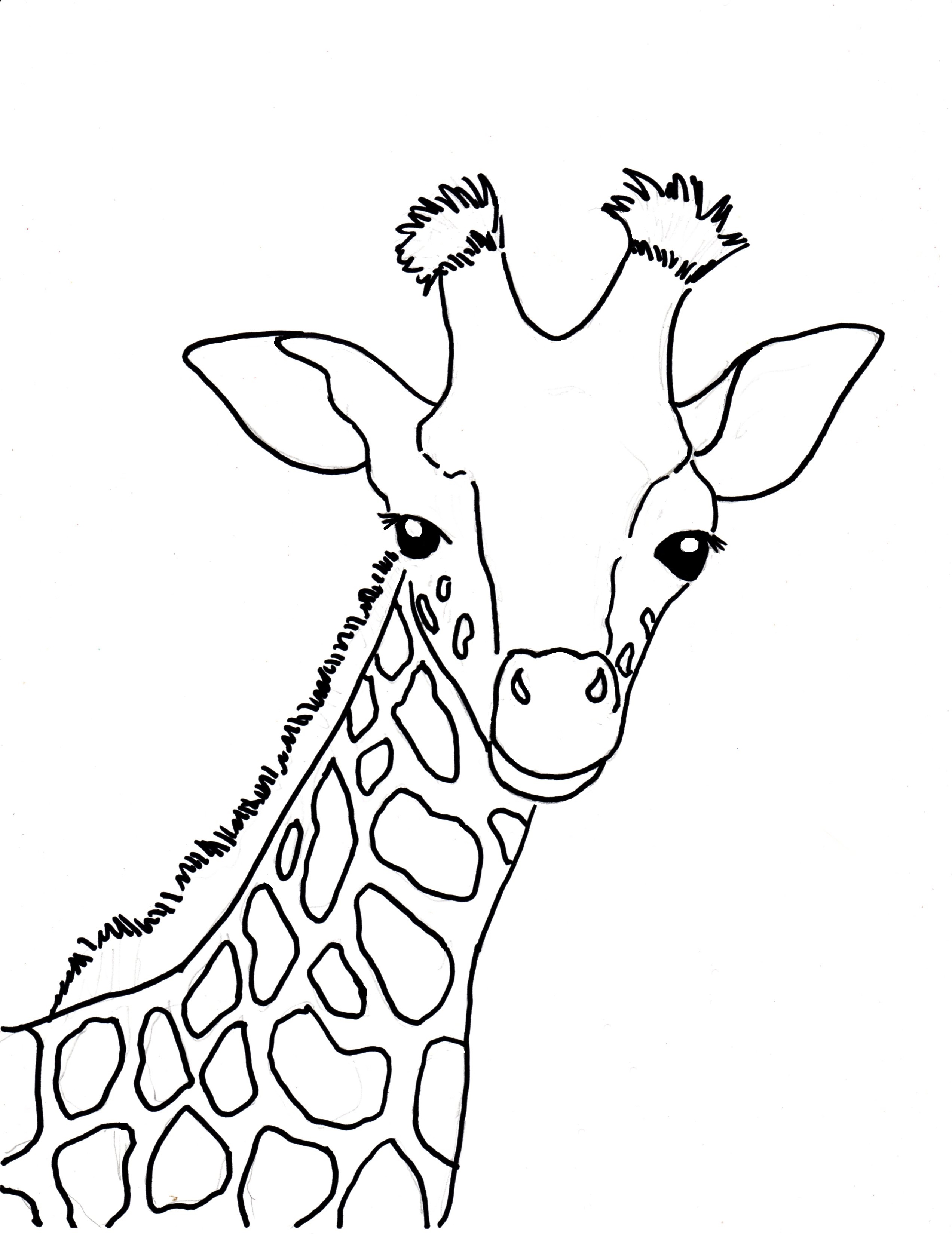 Baby Giraffe Coloring Page - Samantha Bell