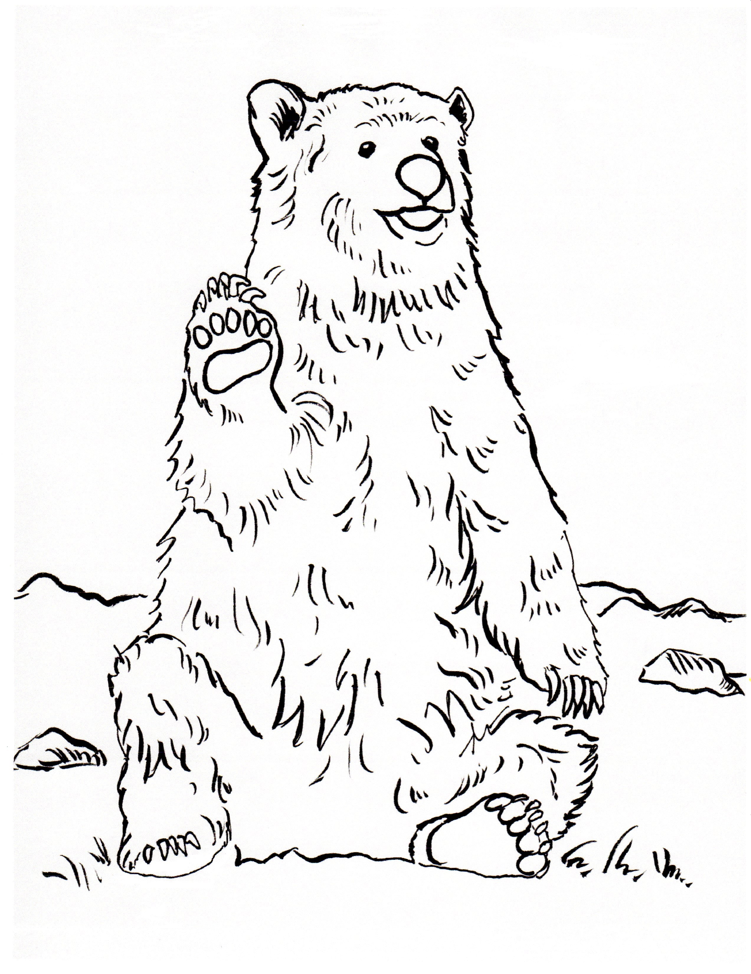 Grizzly Bear Coloring Page - Art Starts for Kids