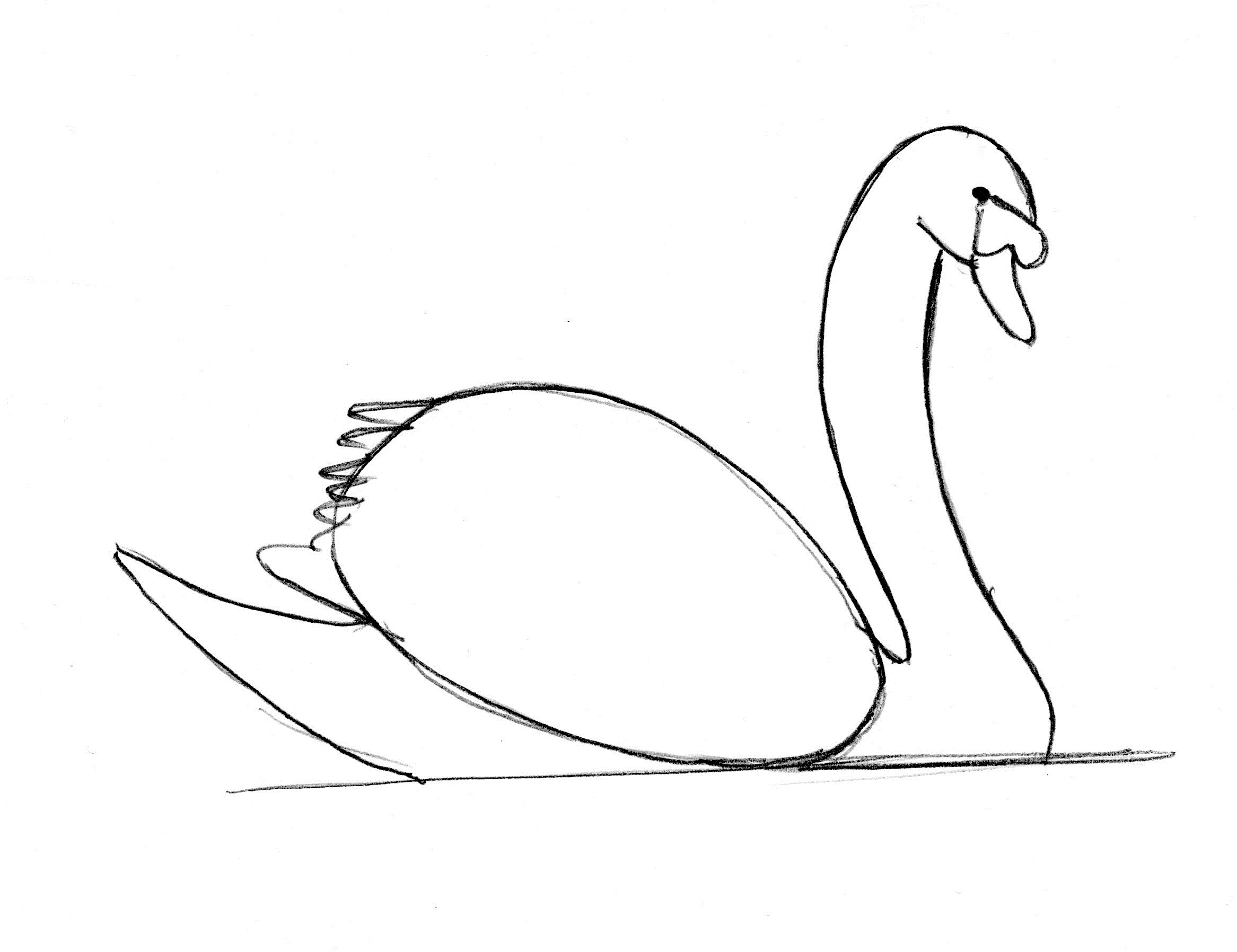 How to draw a Swan step by step (very easy) || Art video - YouTube