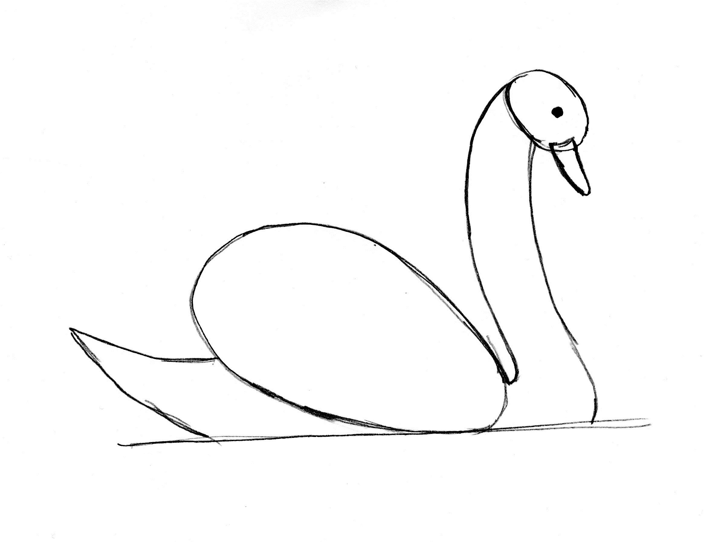 Swan Drawing Step by Step Art Starts