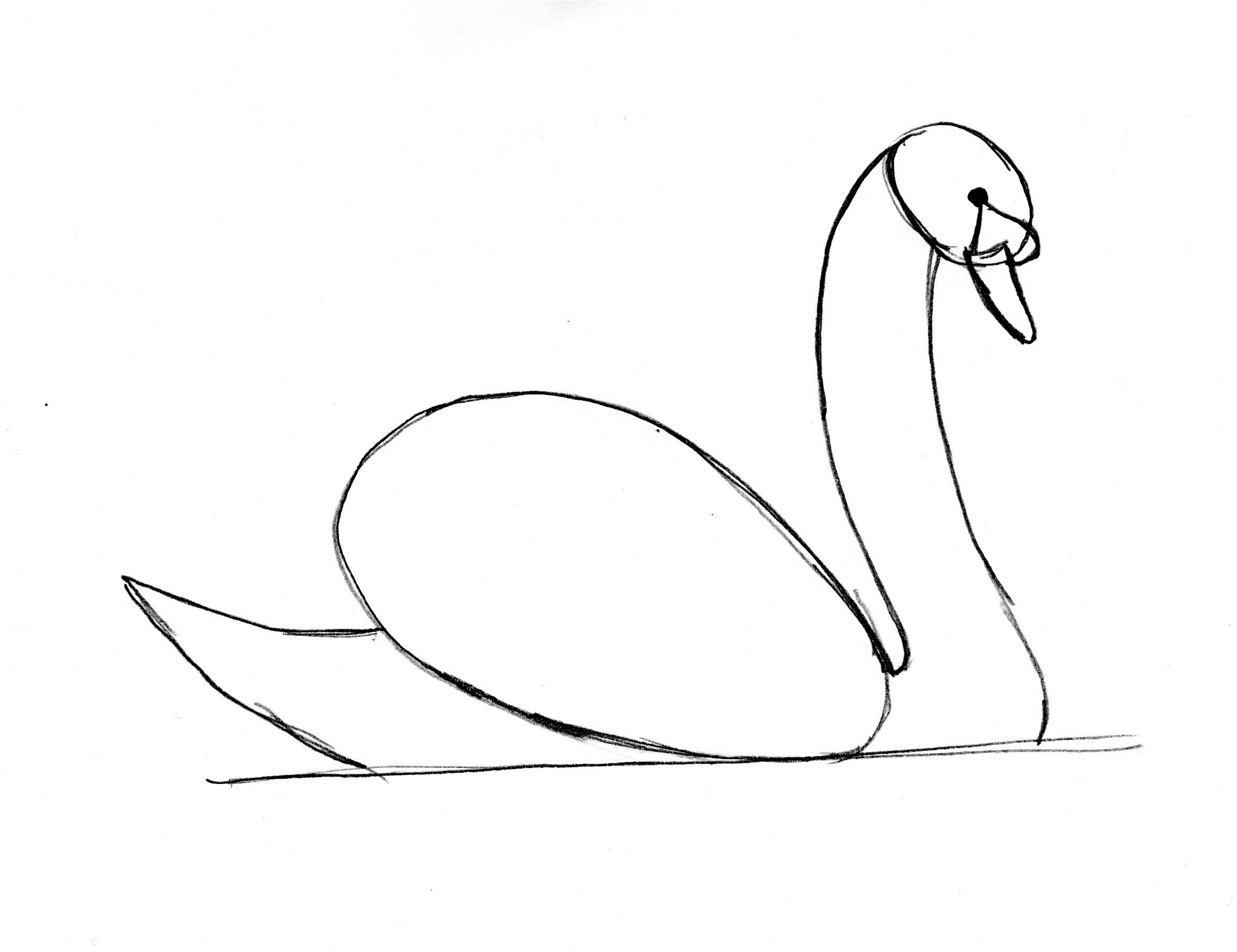 Swan Drawing Step By Step Art Starts