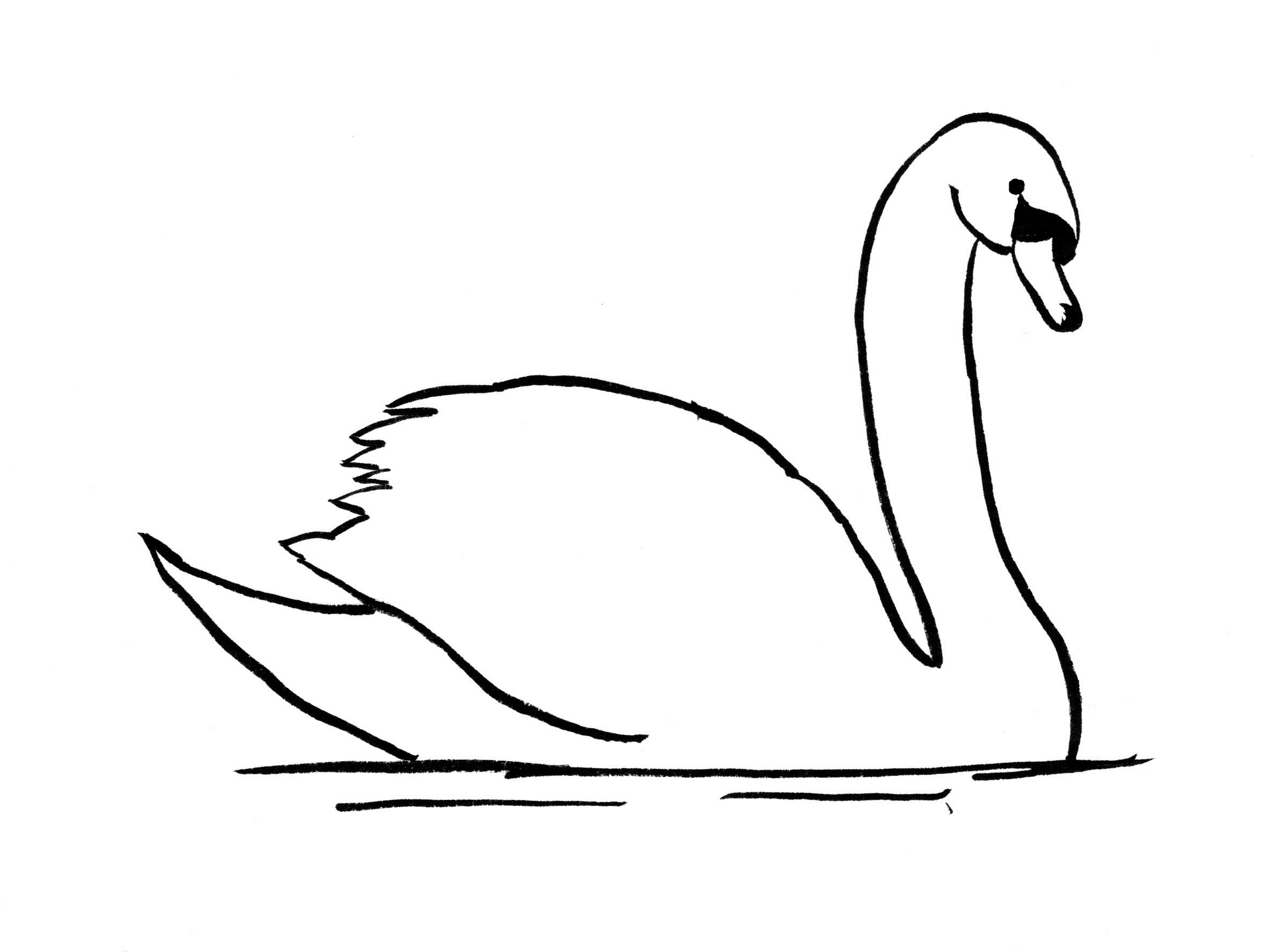 Swan Drawing by lilkanyongmail on DeviantArt