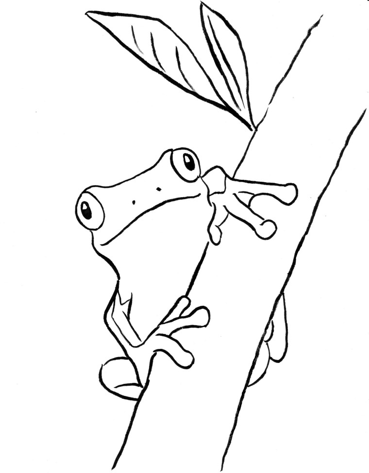 Printabel Frog On Leaf Coloring Pages 2