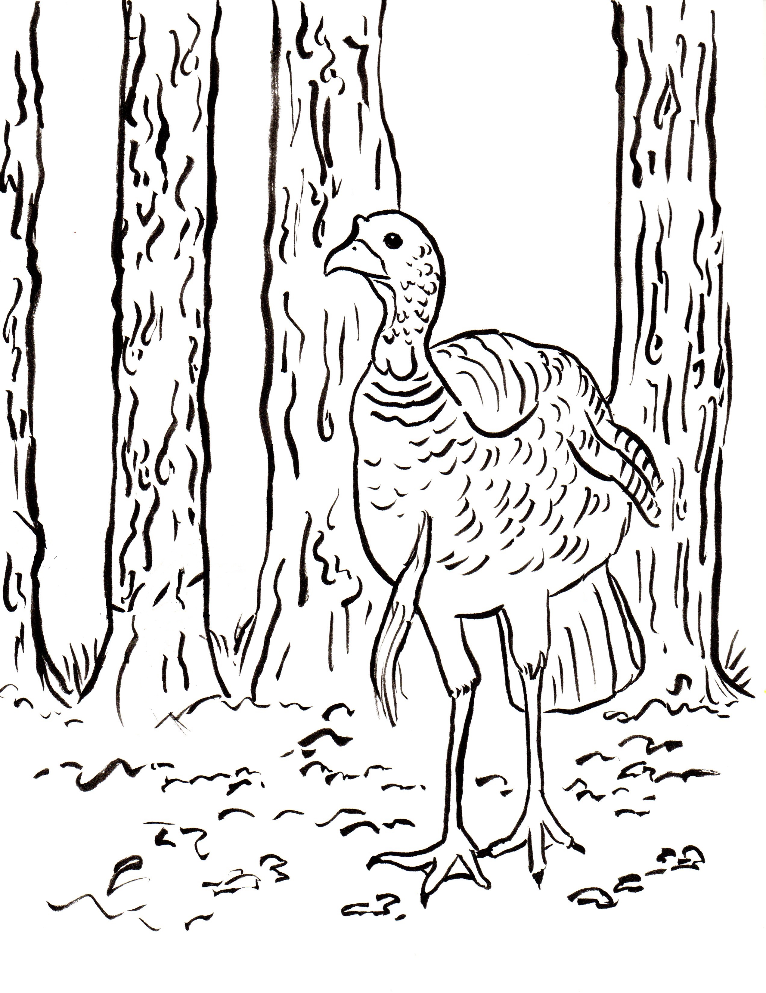 Printable Hunting Coloring Pages