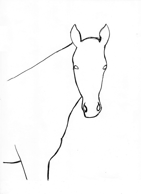 Horse Drawing Step By Step | Art Starts