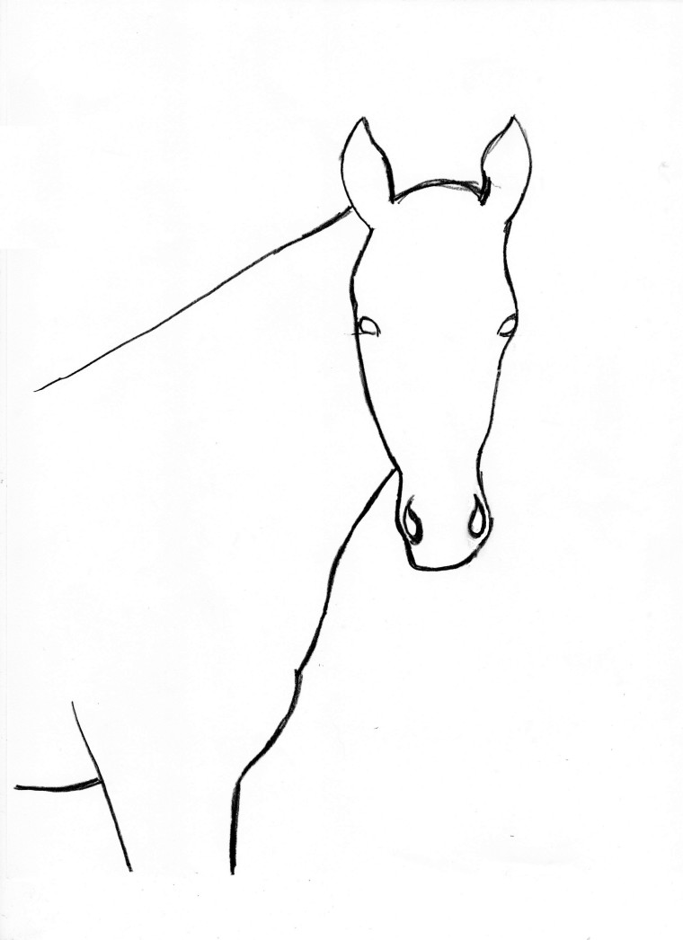 Horse Drawing Step By Step 