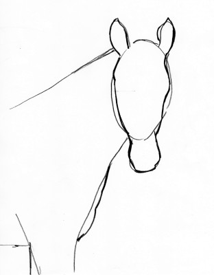 Horse Drawing Step By Step - Art Starts