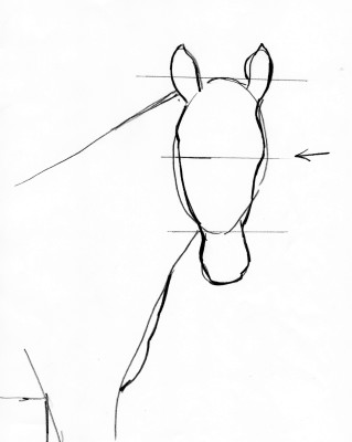 Horse Drawing Step By Step - Art Starts