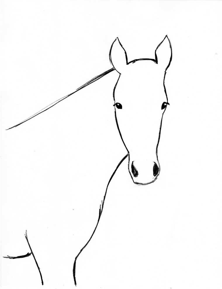 Horse Drawing Step By Step | Art Starts