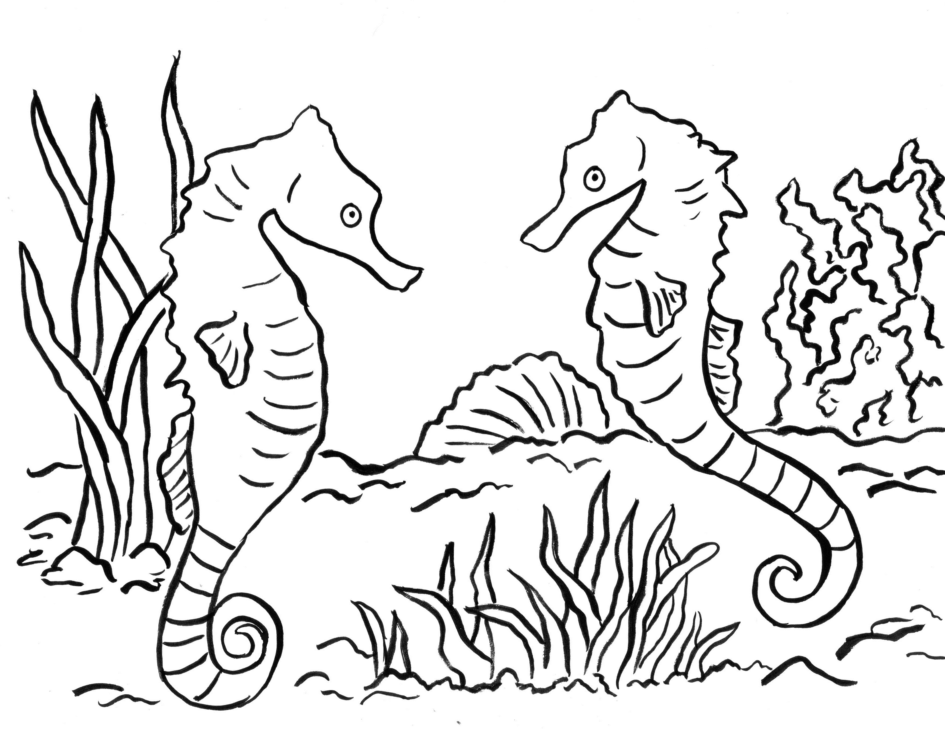 seahorse coloring page