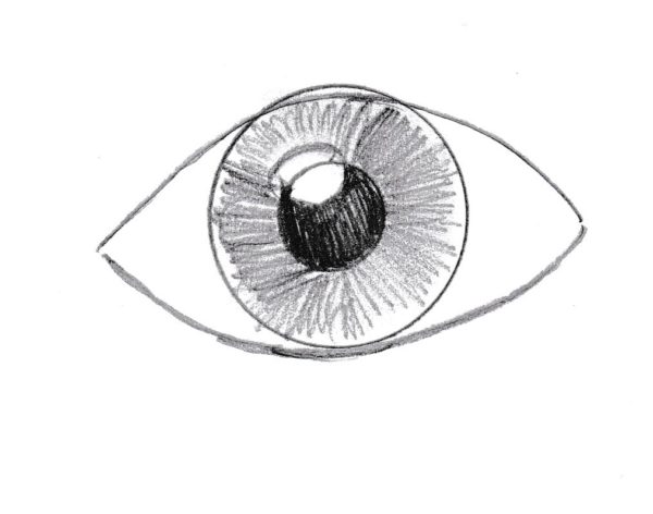 How to Draw an Eye | Art Starts