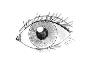 How to Draw an Eye | Art Starts