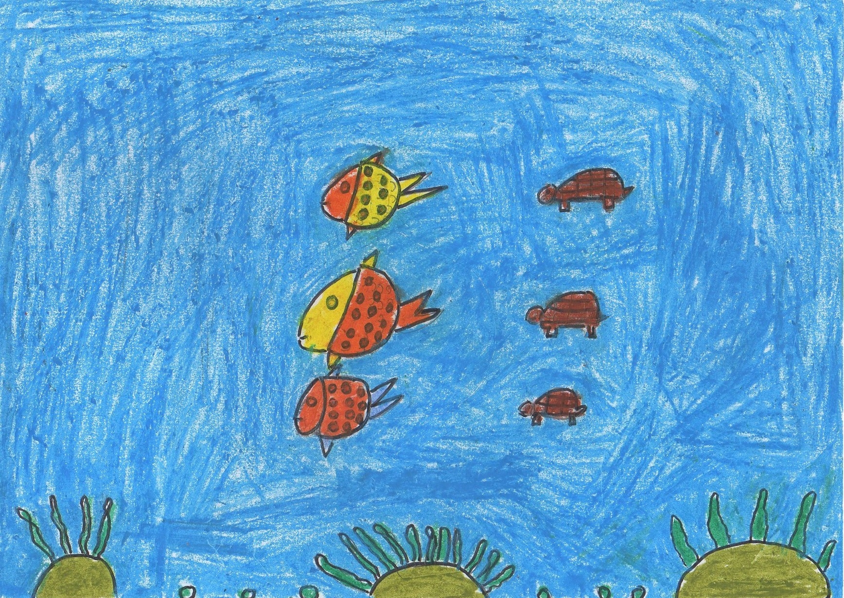 The Fish Jumps Into the Pond. | Art drawings for kids, Scenery drawing for  kids, Easy drawings for kids