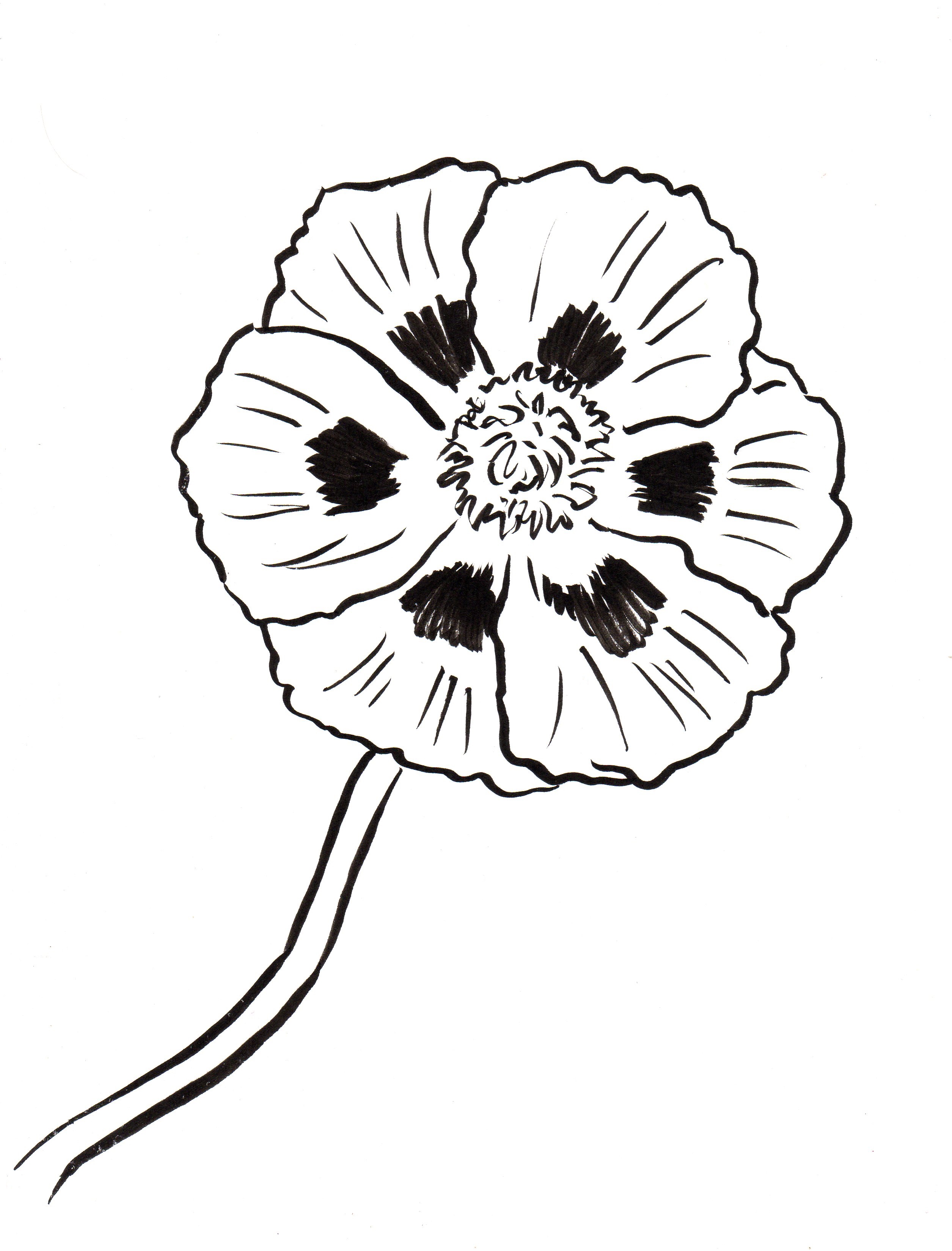 Printable Poppies To Color