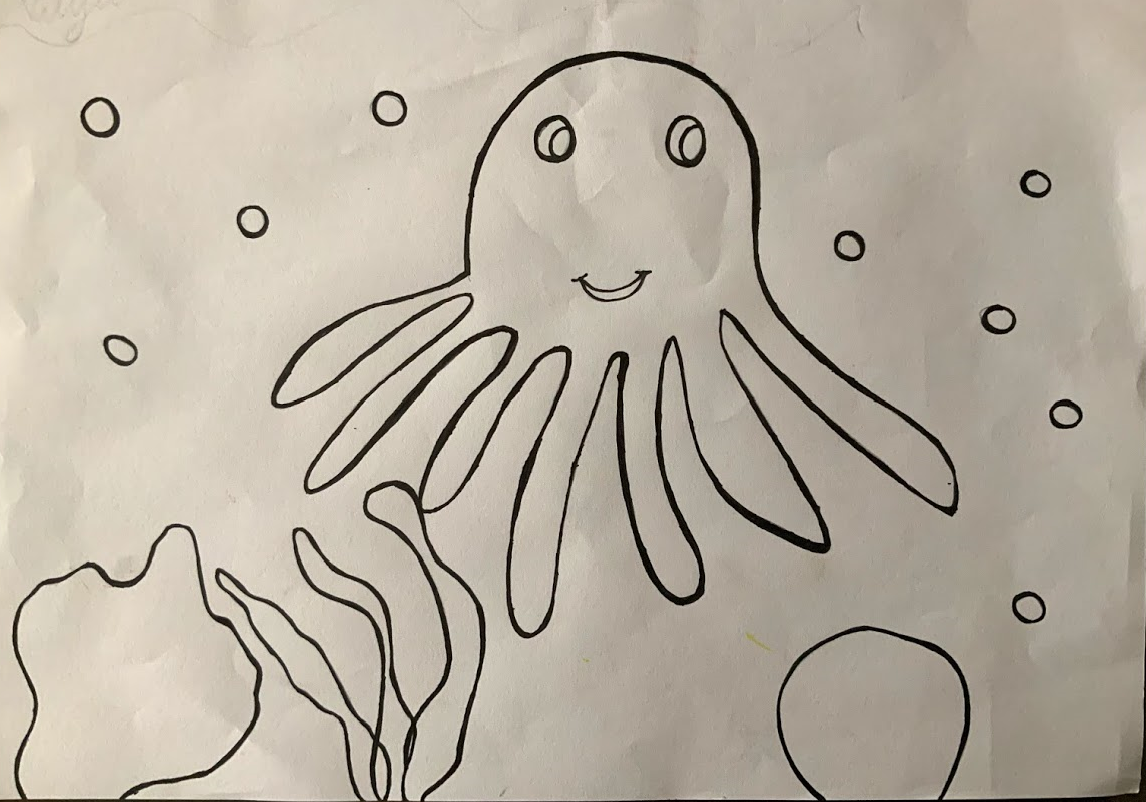 Nitya Octopus