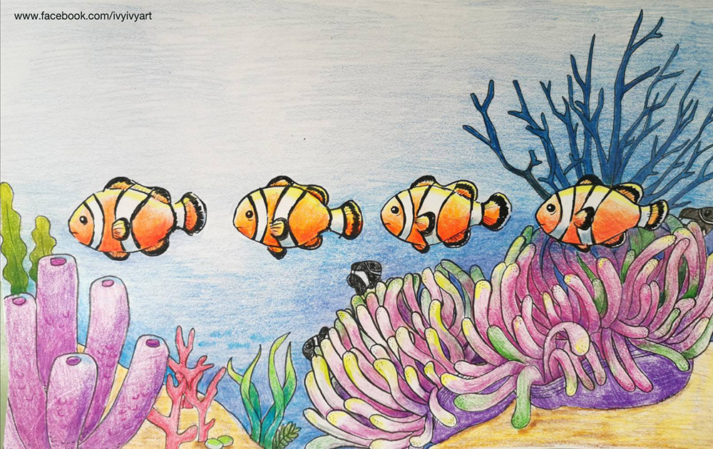 Clownfish lined up - Art Starts