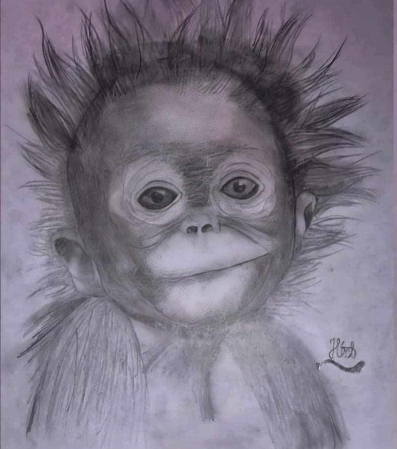 Baby monkey’s bad hair day | Art Starts