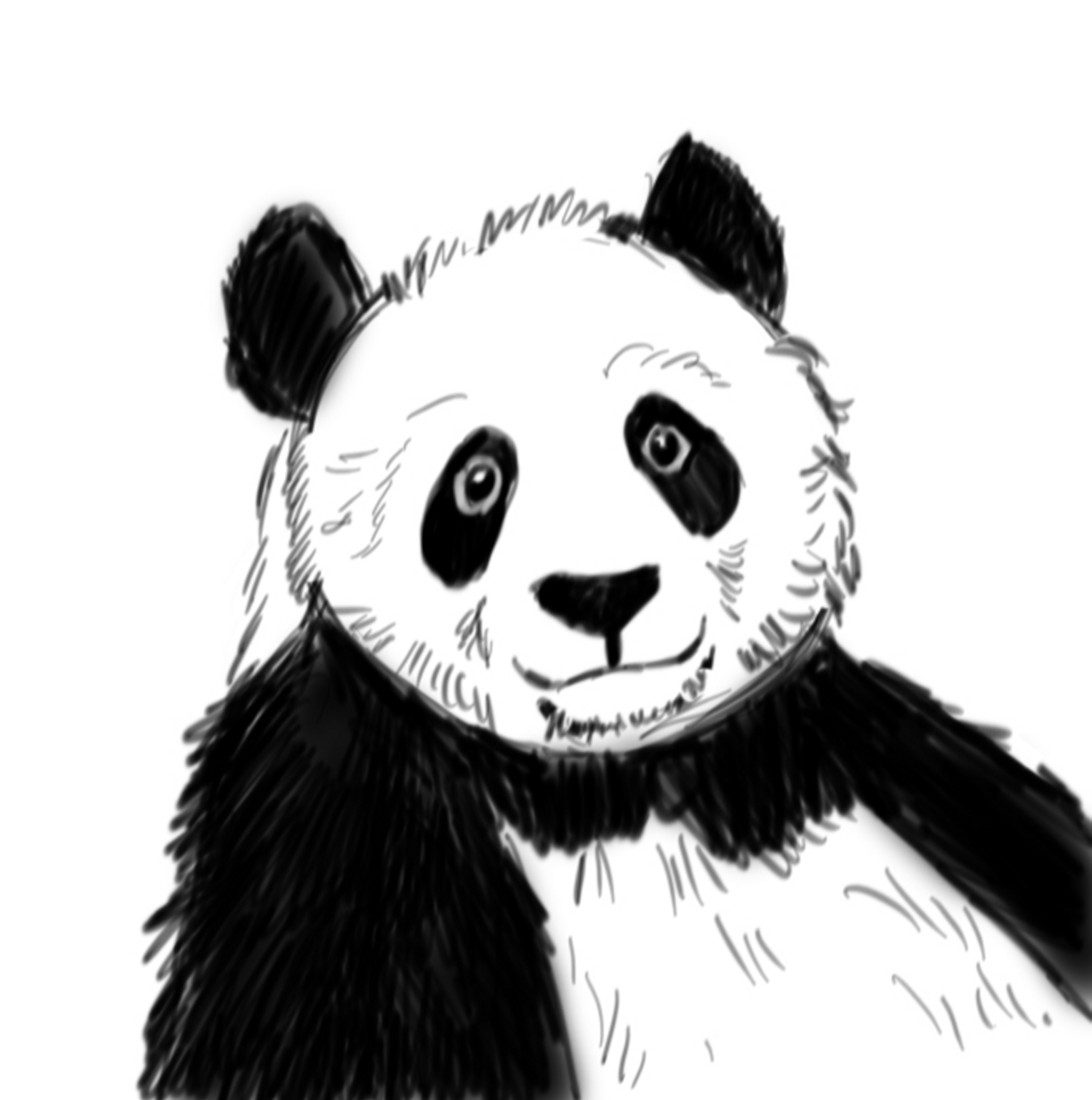 How to Draw a Panda I Panda in bamboo forest drawing tutorial - YouTube