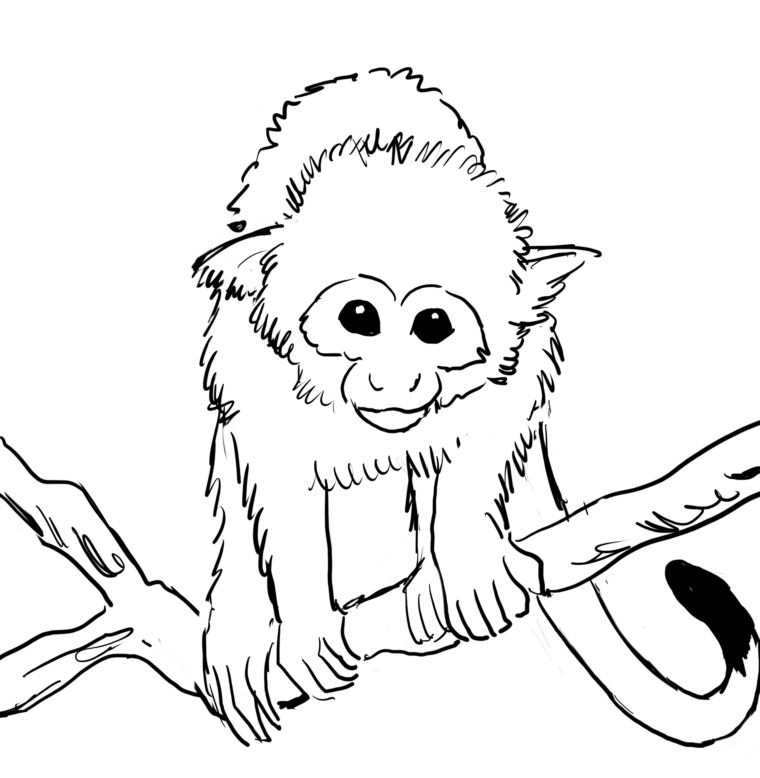 Whimsical Monkey Coloring Book Page Sticker Illustration - LimeWire