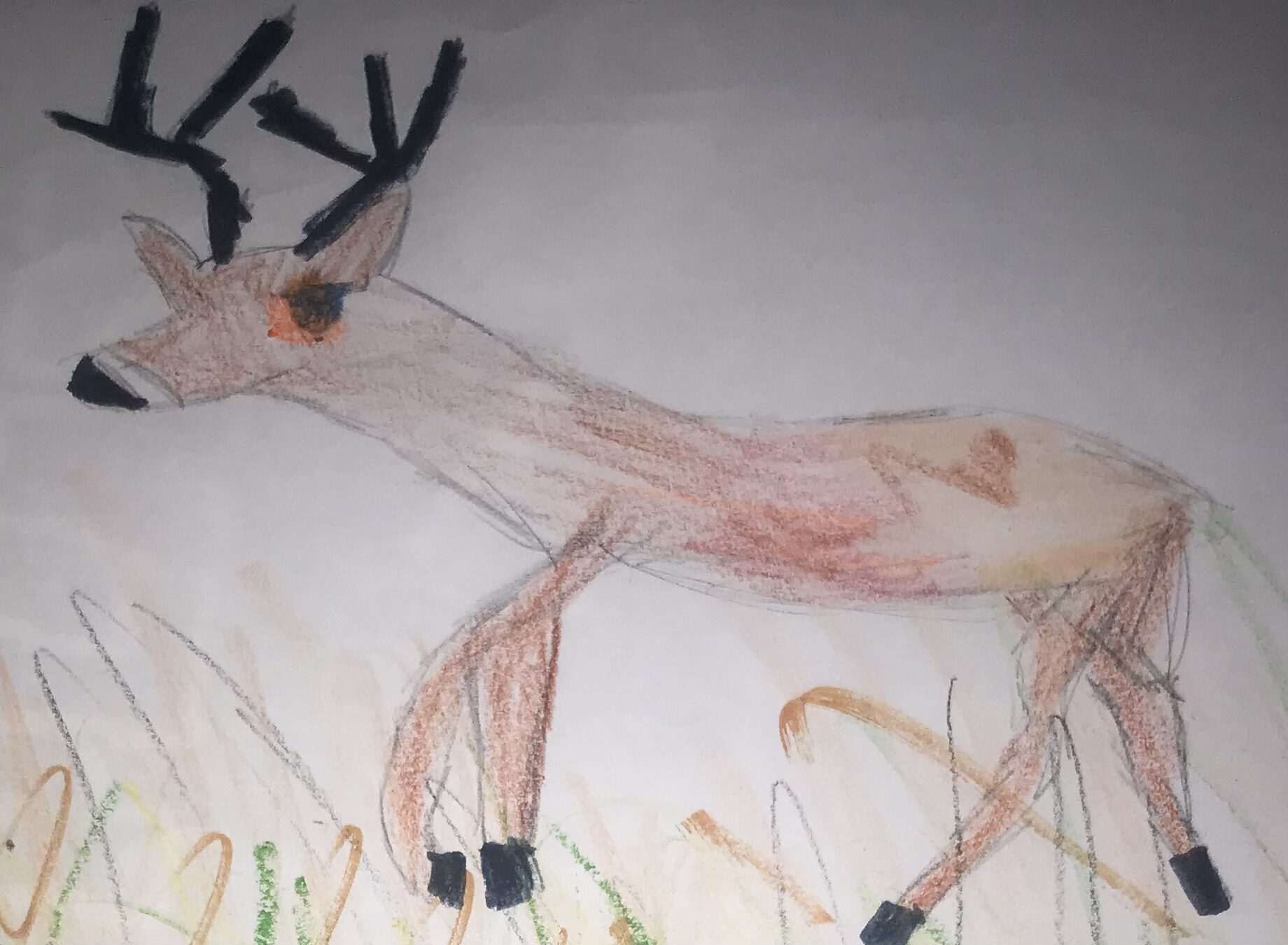 How to draw a reindeer - Gathered